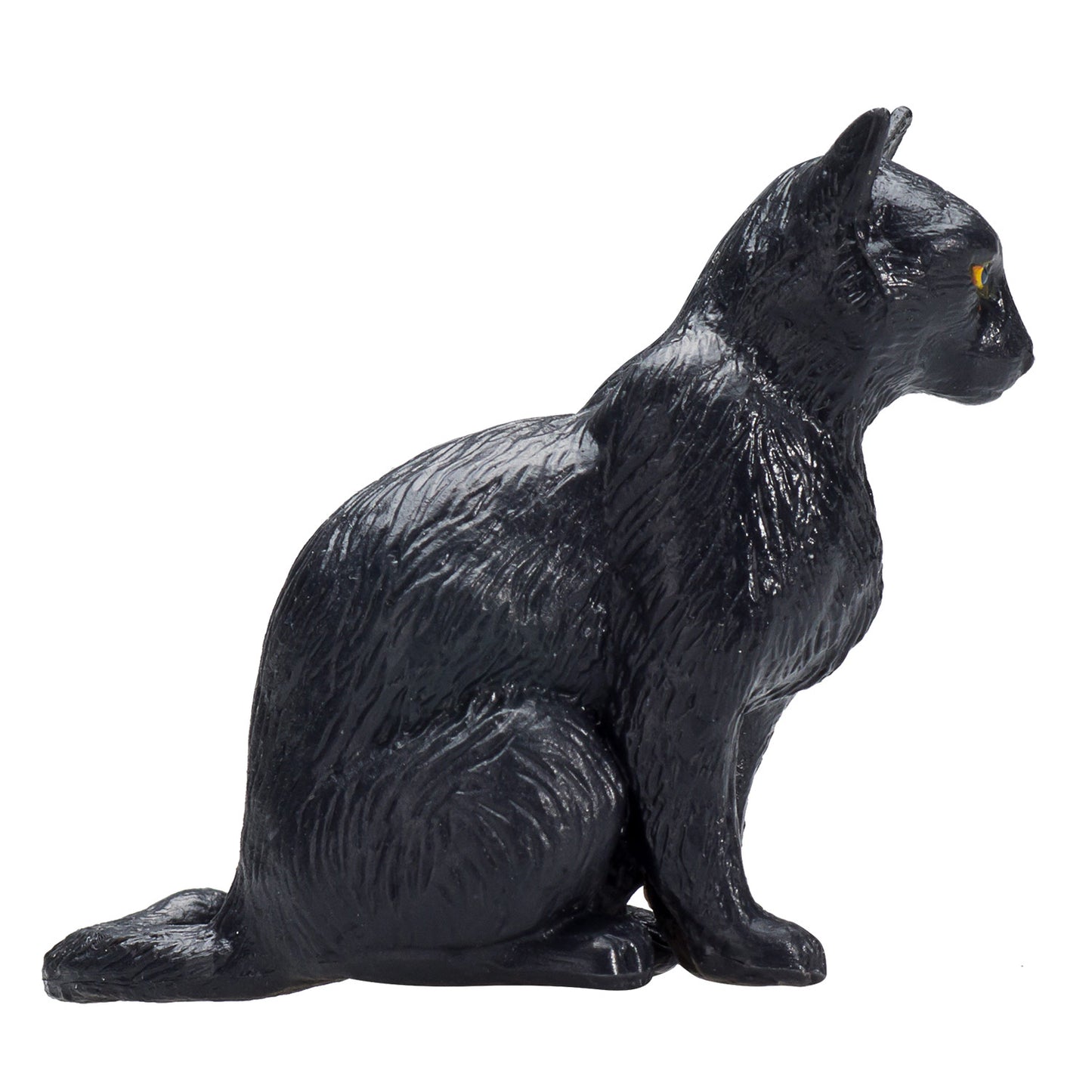MOJO FARMERS ASSIS CAT NOIR 387372