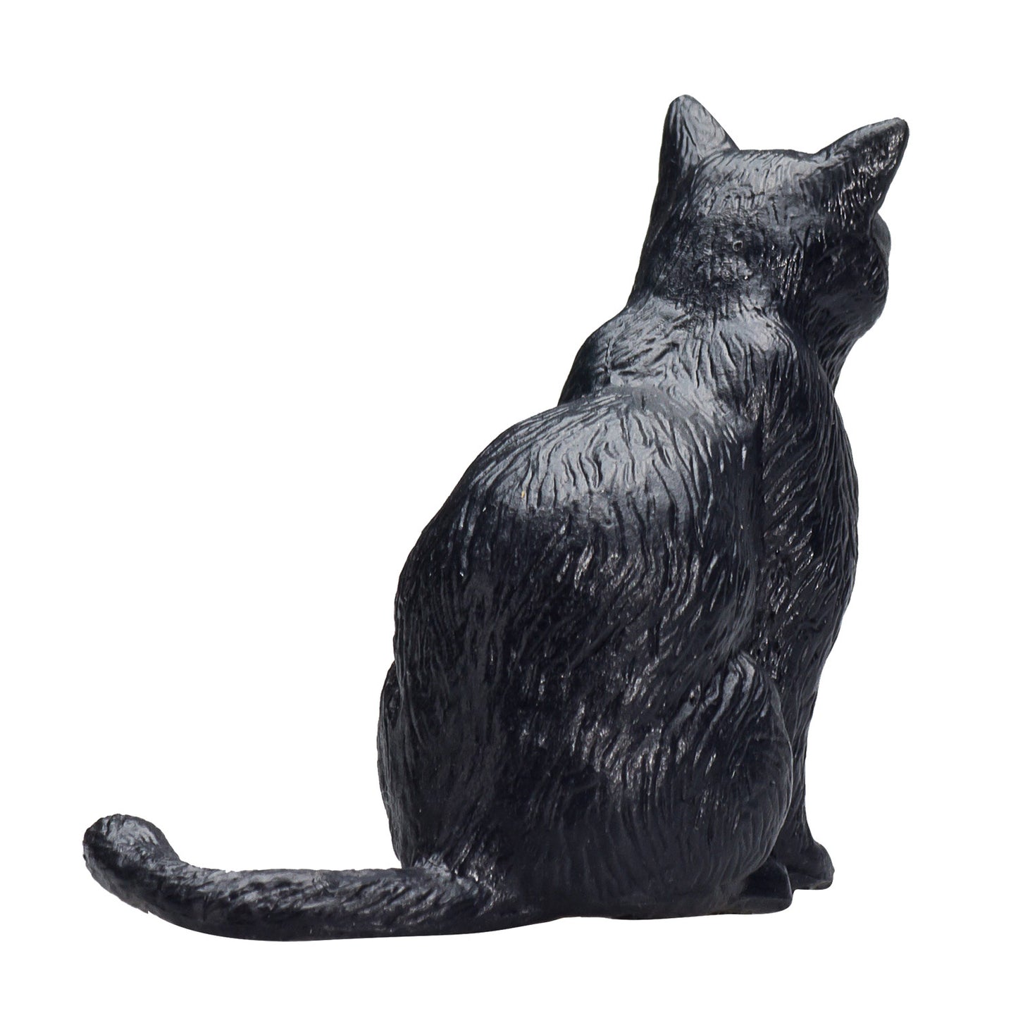 MOJO FARMERS ASSIS CAT NOIR 387372