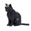 MOJO FARMERS ASSIS CAT NOIR 387372
