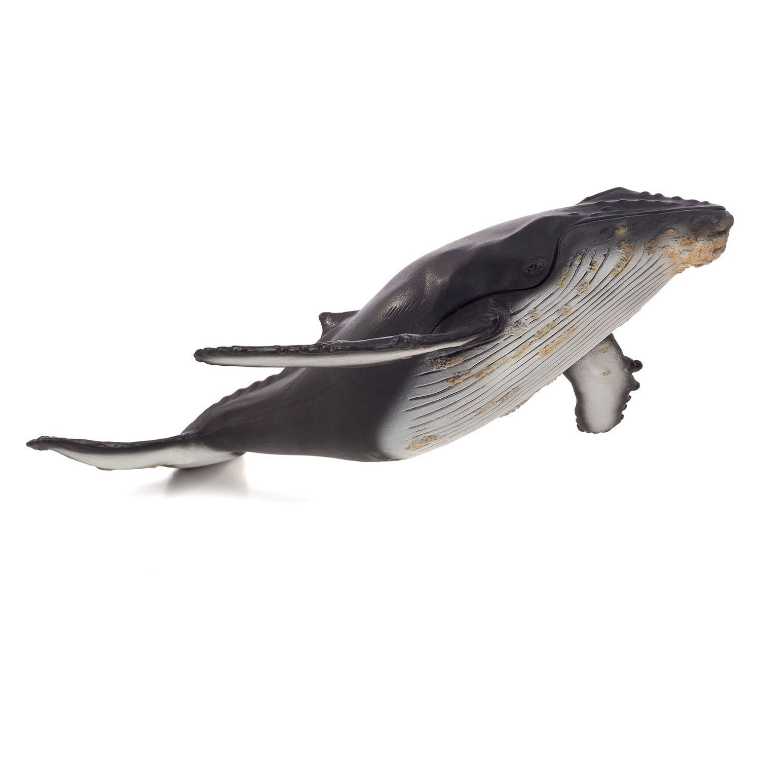 Mojo Seallife Bultrugwalvis grand 387277