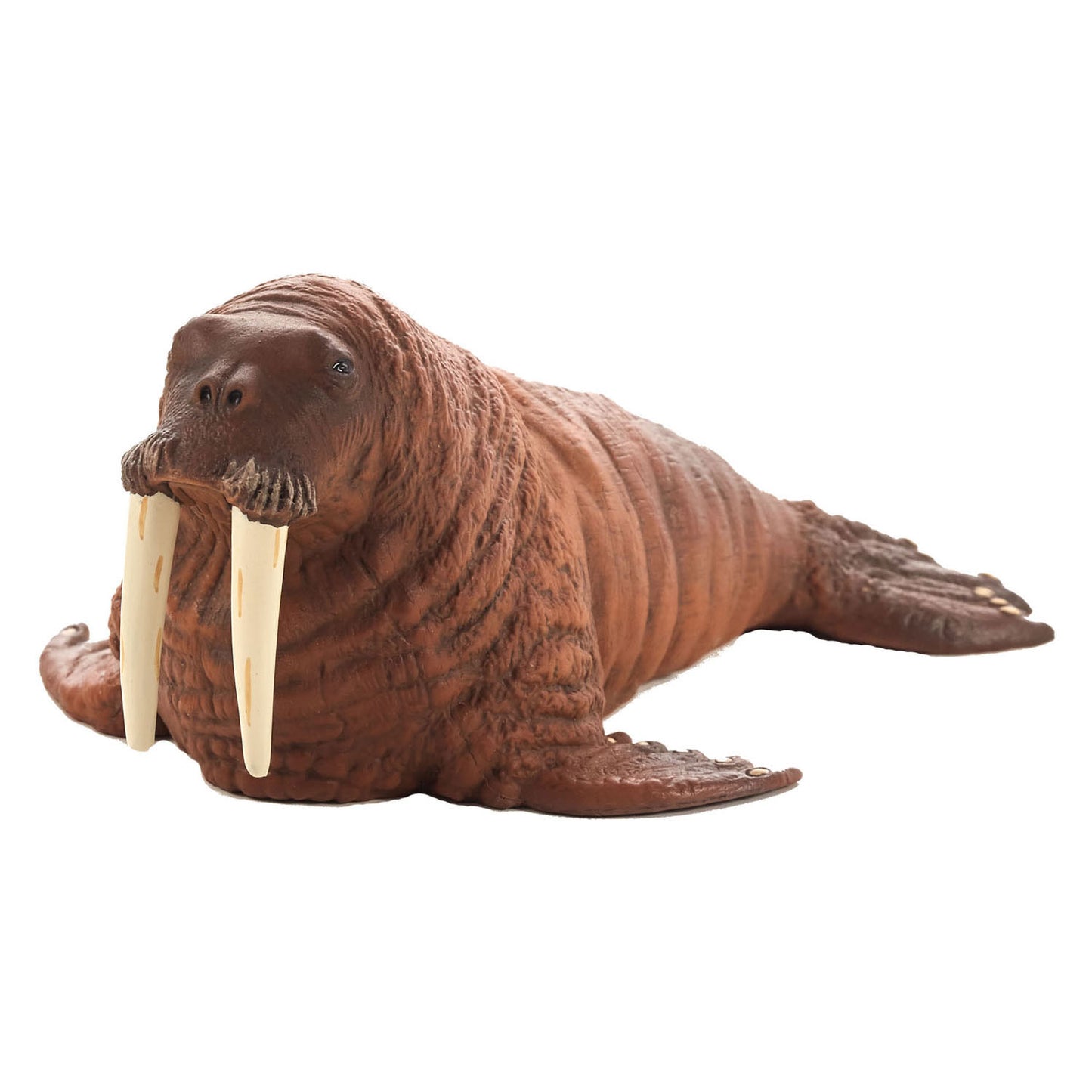 Mojo wealife walrus 387209