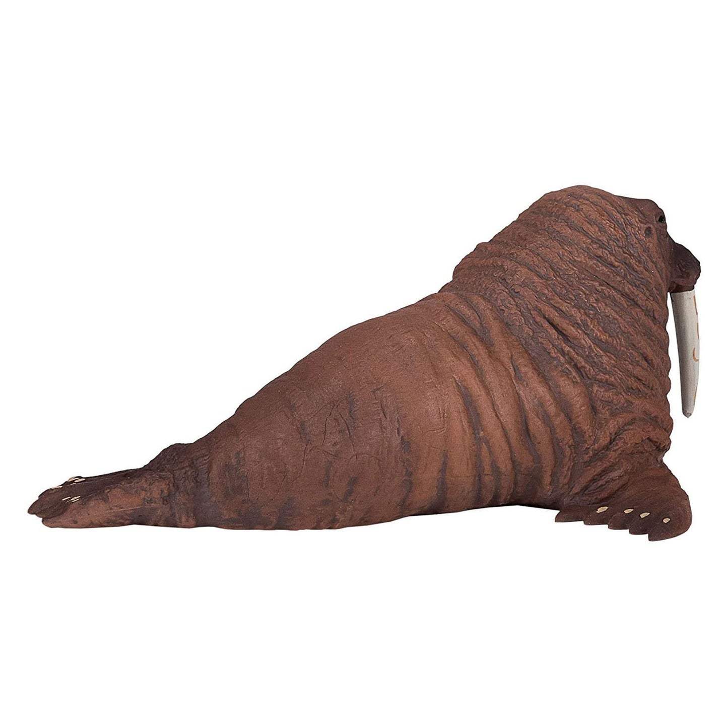 Mojo wealife walrus 387209