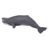 Mojo SealLife Potfish 387210 - afbeelding 2