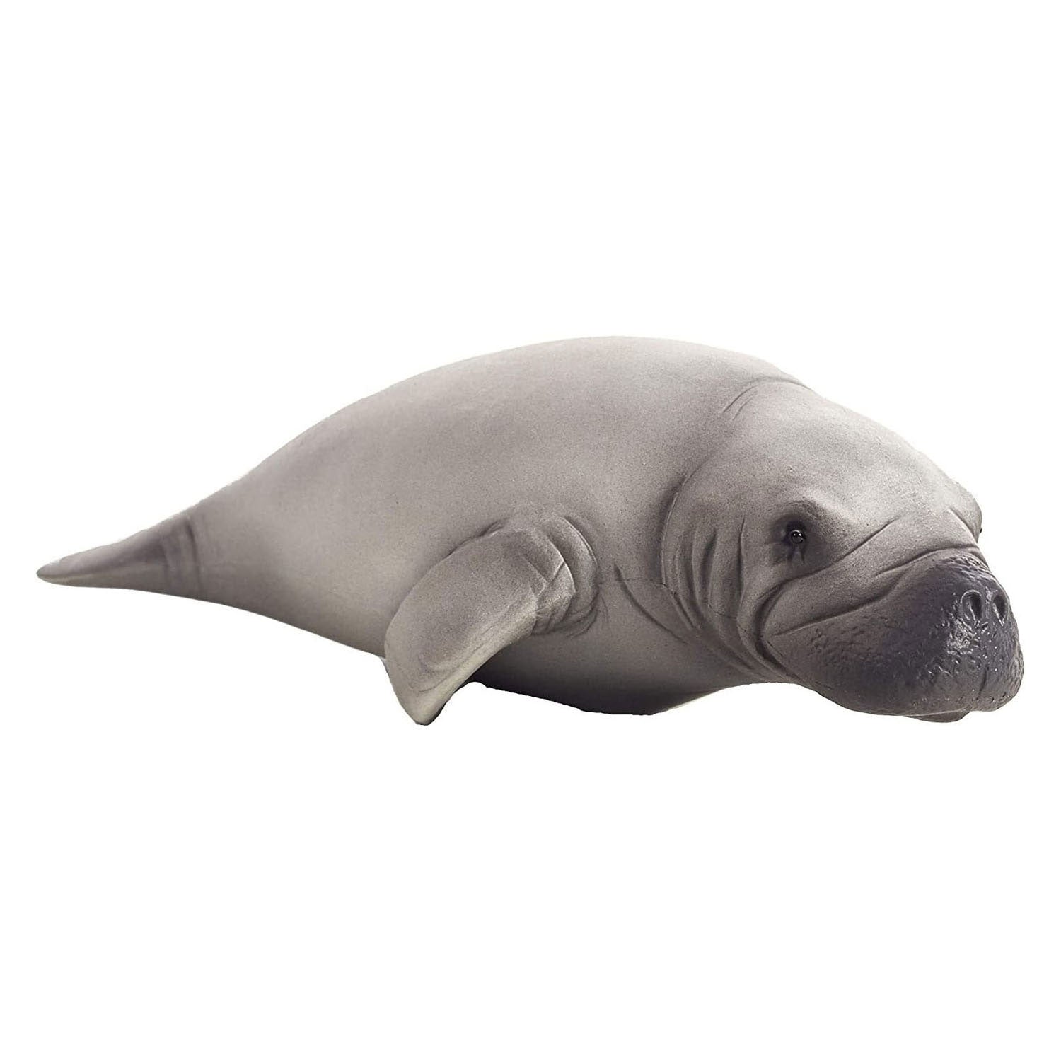 Mojo Seallife Lamantijn 387211