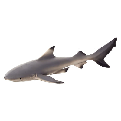 Mojo Seallife Black Puntrifhaai 387357