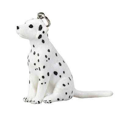 Chiot dalmatien de Kejo Farmlands Puppy 387462