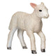 MOJO FARMERS ROMNEY LAM RENNENN 381066