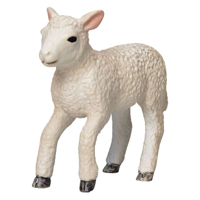 MOJO FARMERS ROMNEY LAM RENNENN 381066