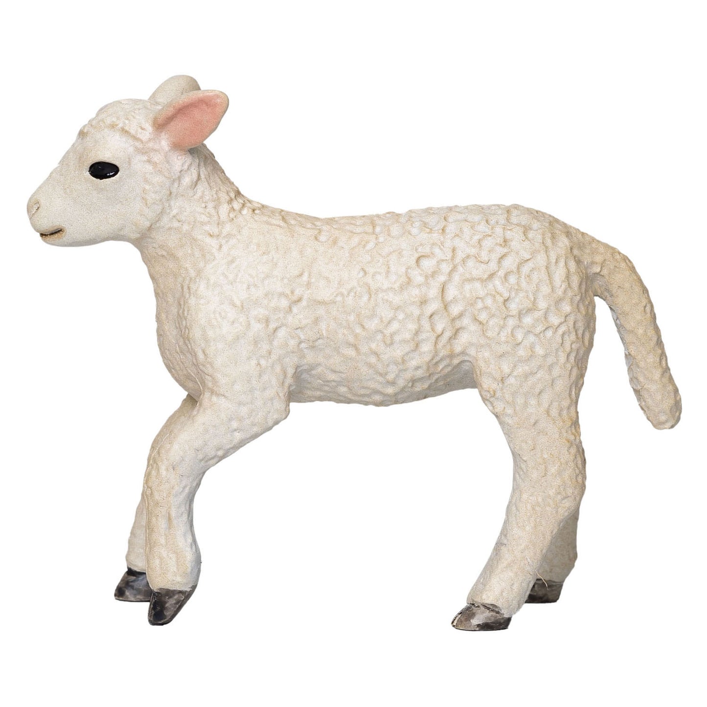 MOJO FARMERS ROMNEY LAM RENNENN 381066