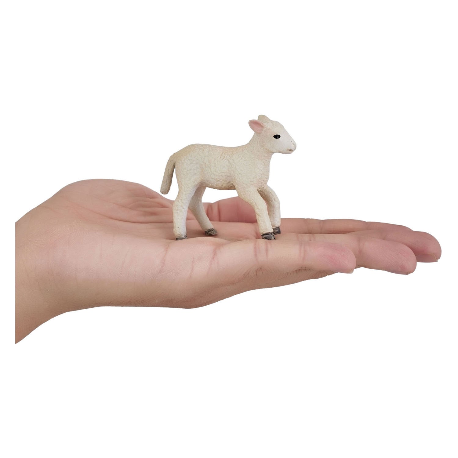 MOJO FARMERS ROMNEY LAM RENNENN 381066