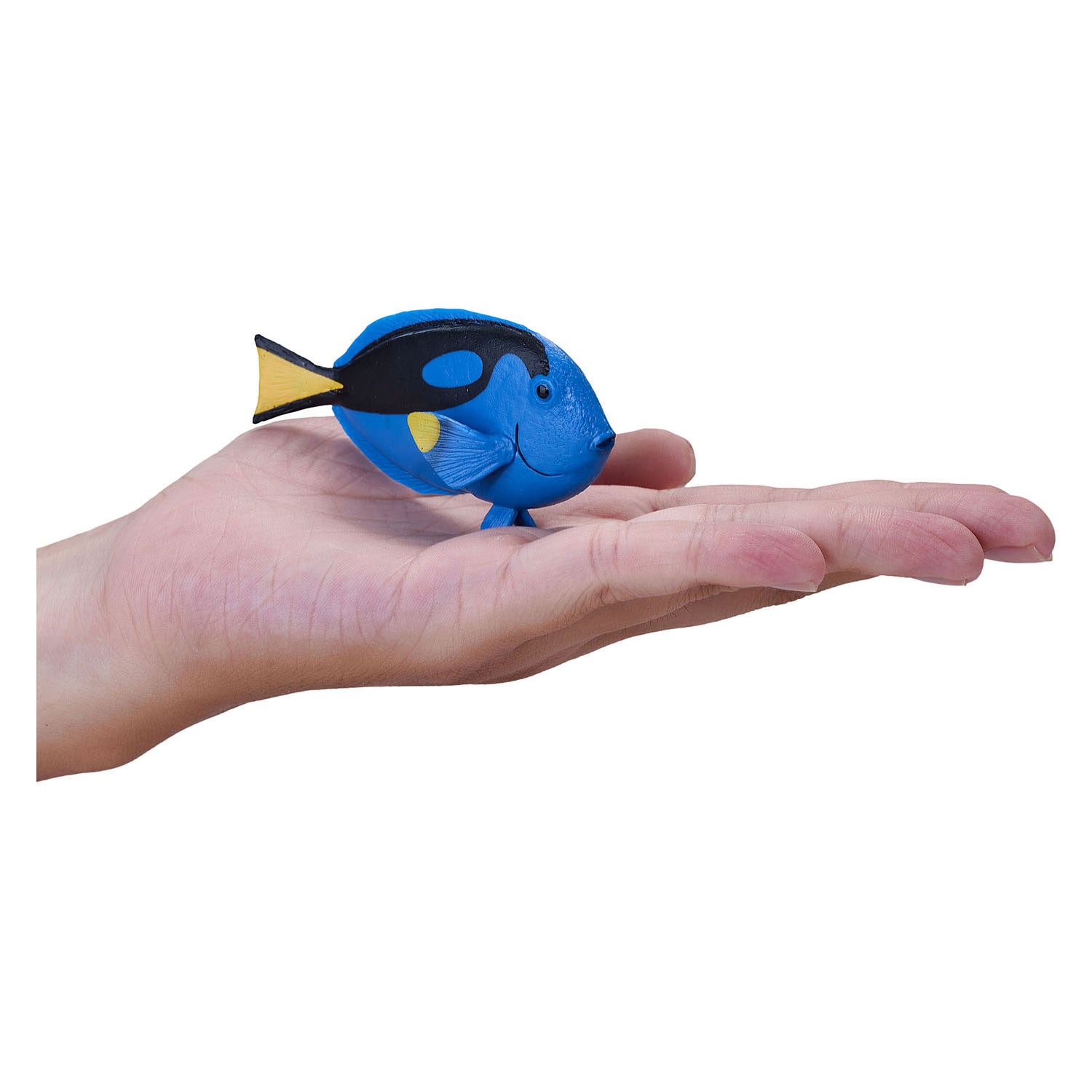 Mojo Sealfe Blue Tang Vis 387269