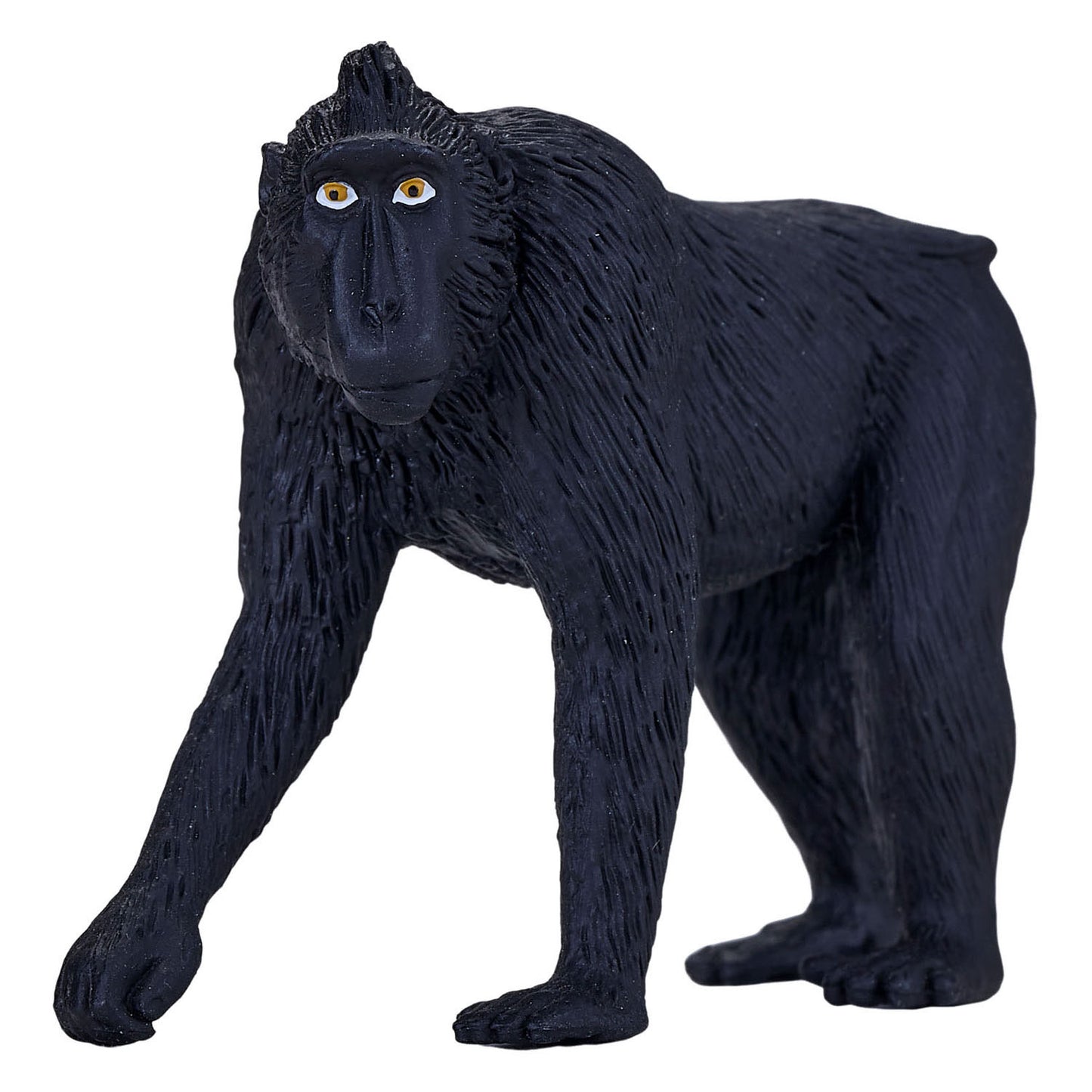 Mojo faune noire couronnée Makaak 387182