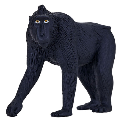 Mojo faune noire couronnée Makaak 387182