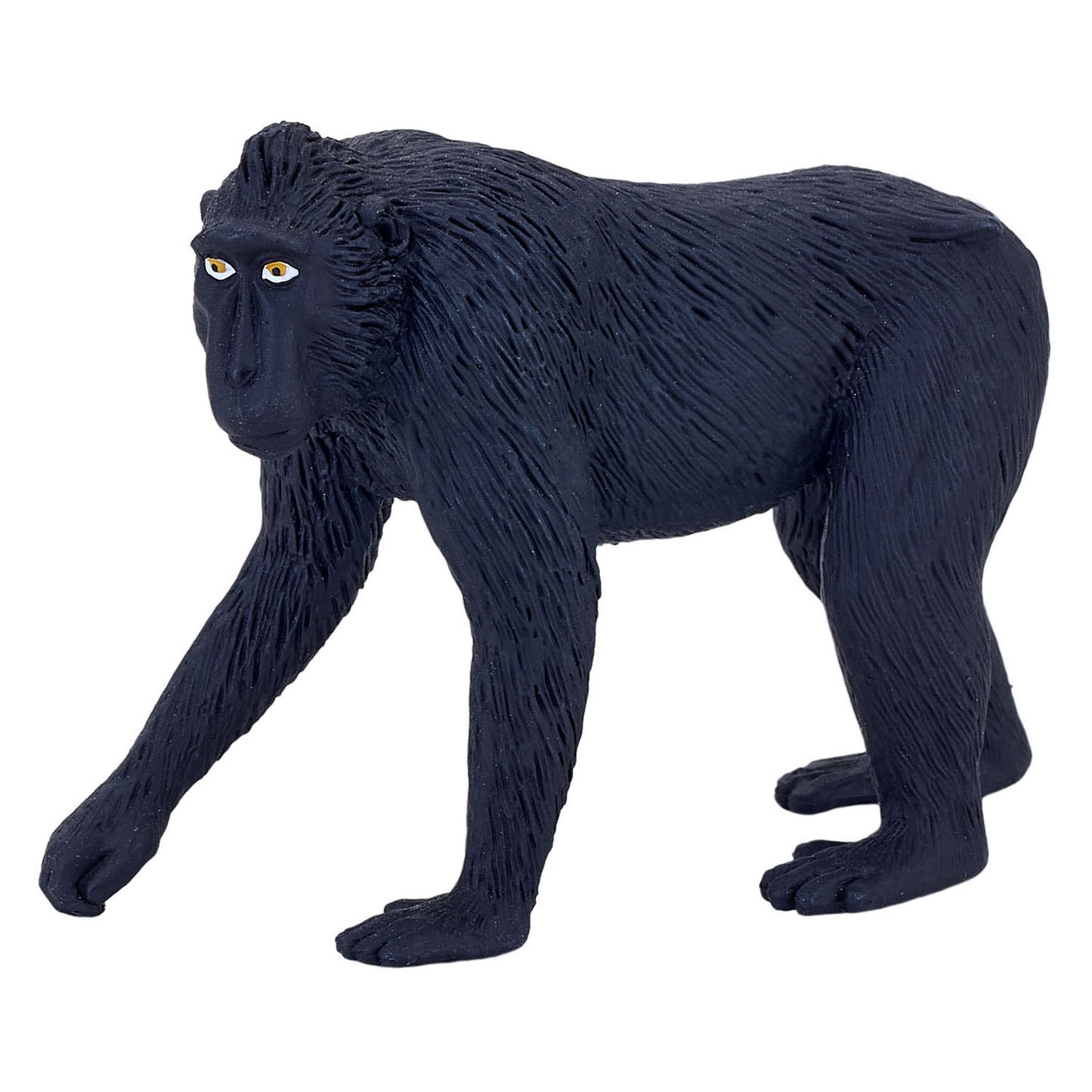 Mojo faune noire couronnée Makaak 387182