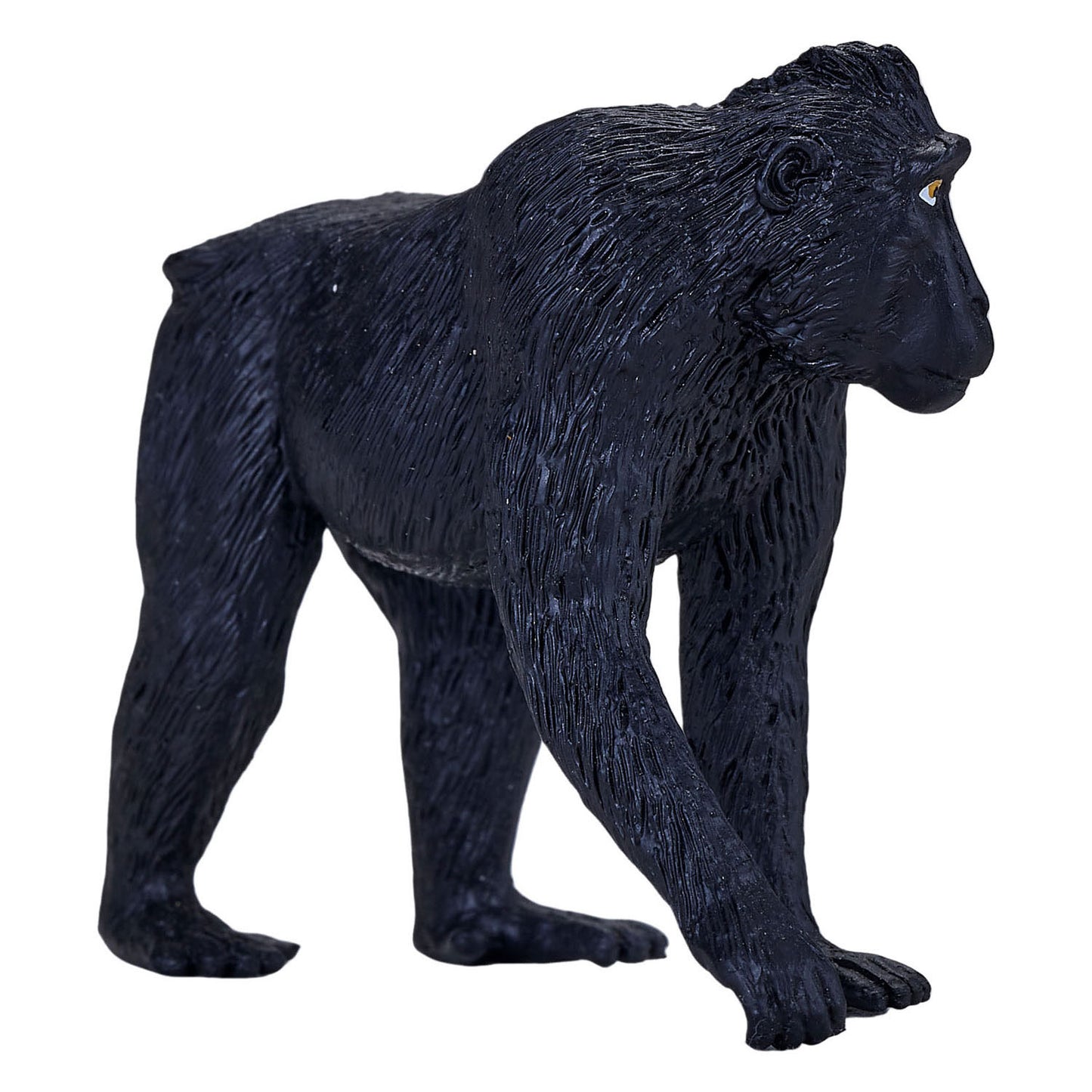 Mojo faune noire couronnée Makaak 387182