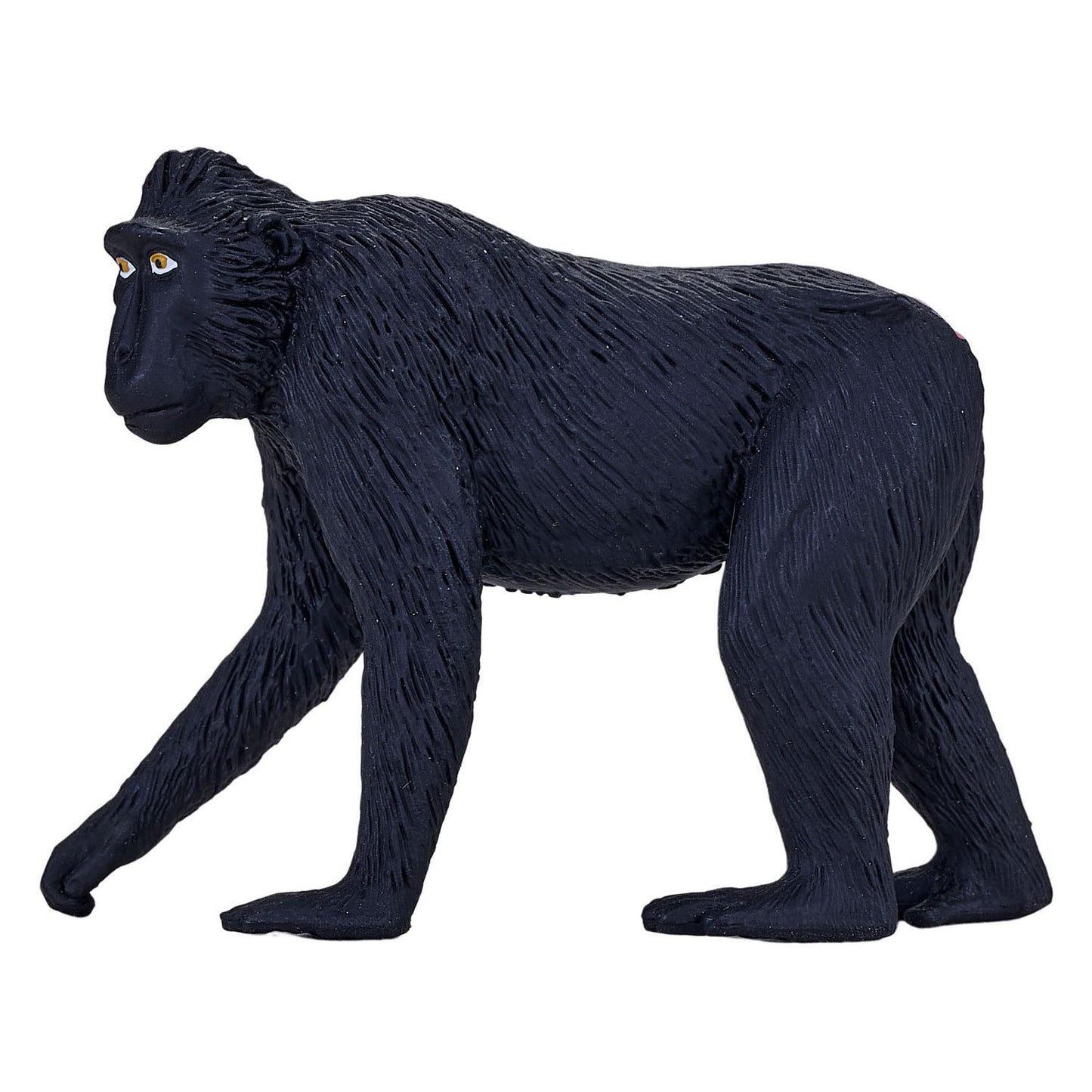 Mojo faune noire couronnée Makaak 387182
