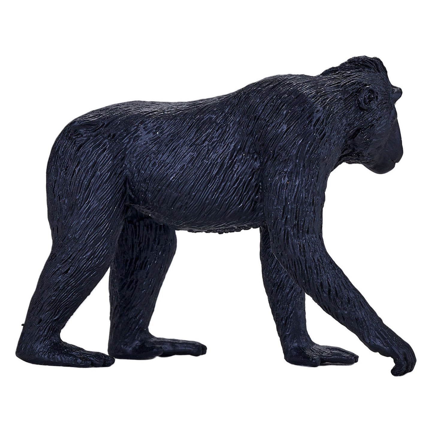 Mojo faune noire couronnée Makaak 387182