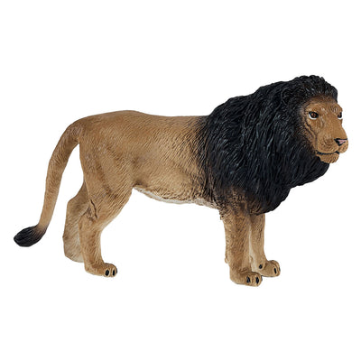 Mojo faune lion africain 381070