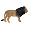 Mojo faune lion africain 381070