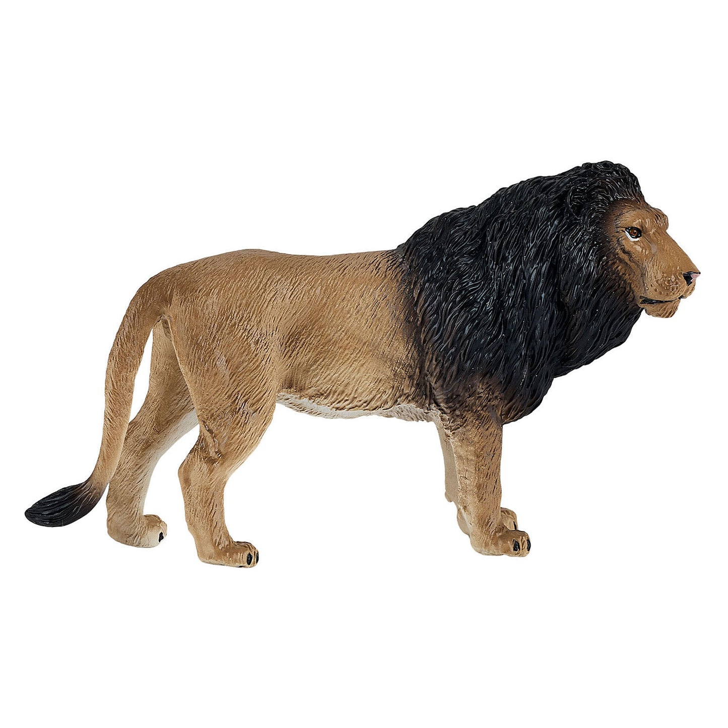 Mojo faune lion africain 381070