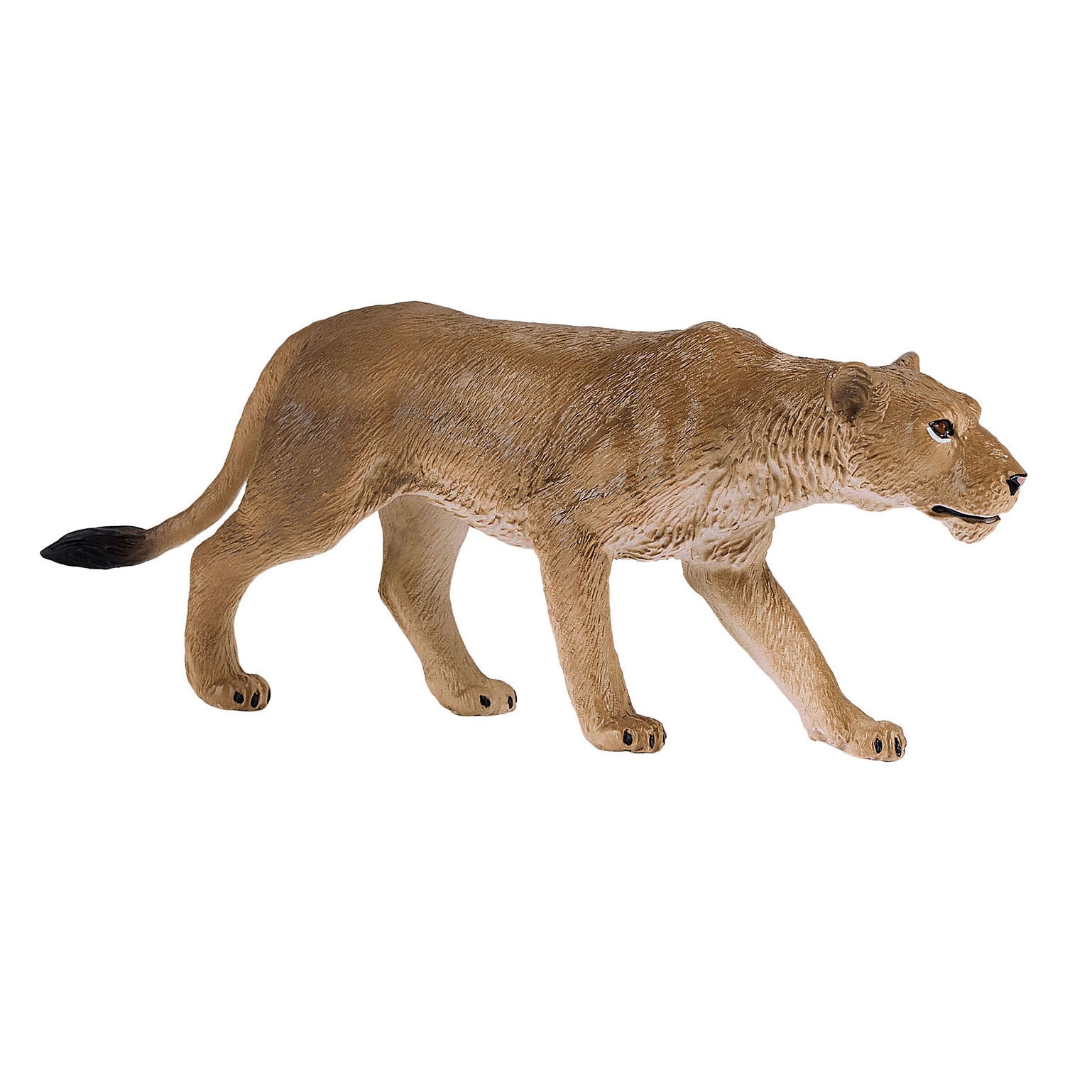 MOJO WILDLIFE Africain Leeuwin 381071