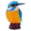 MOJO FARMERS IJSVOGEL - 381116