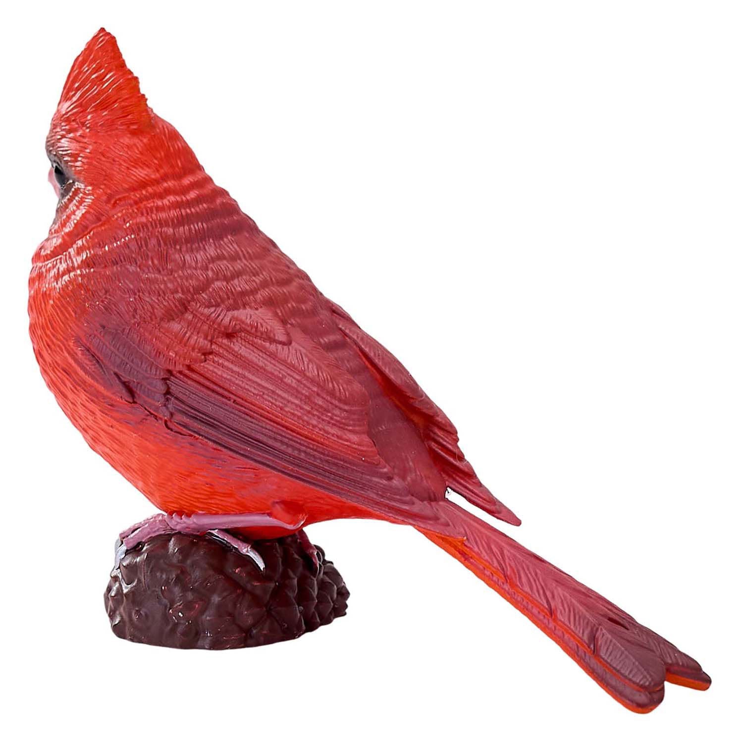 MOJO CARDINAL ROUGE DE FARMES - 381117