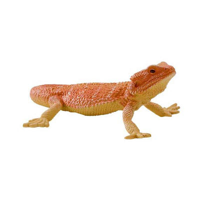 MOJO WILDLIFE BEARDAGAAM - 381096