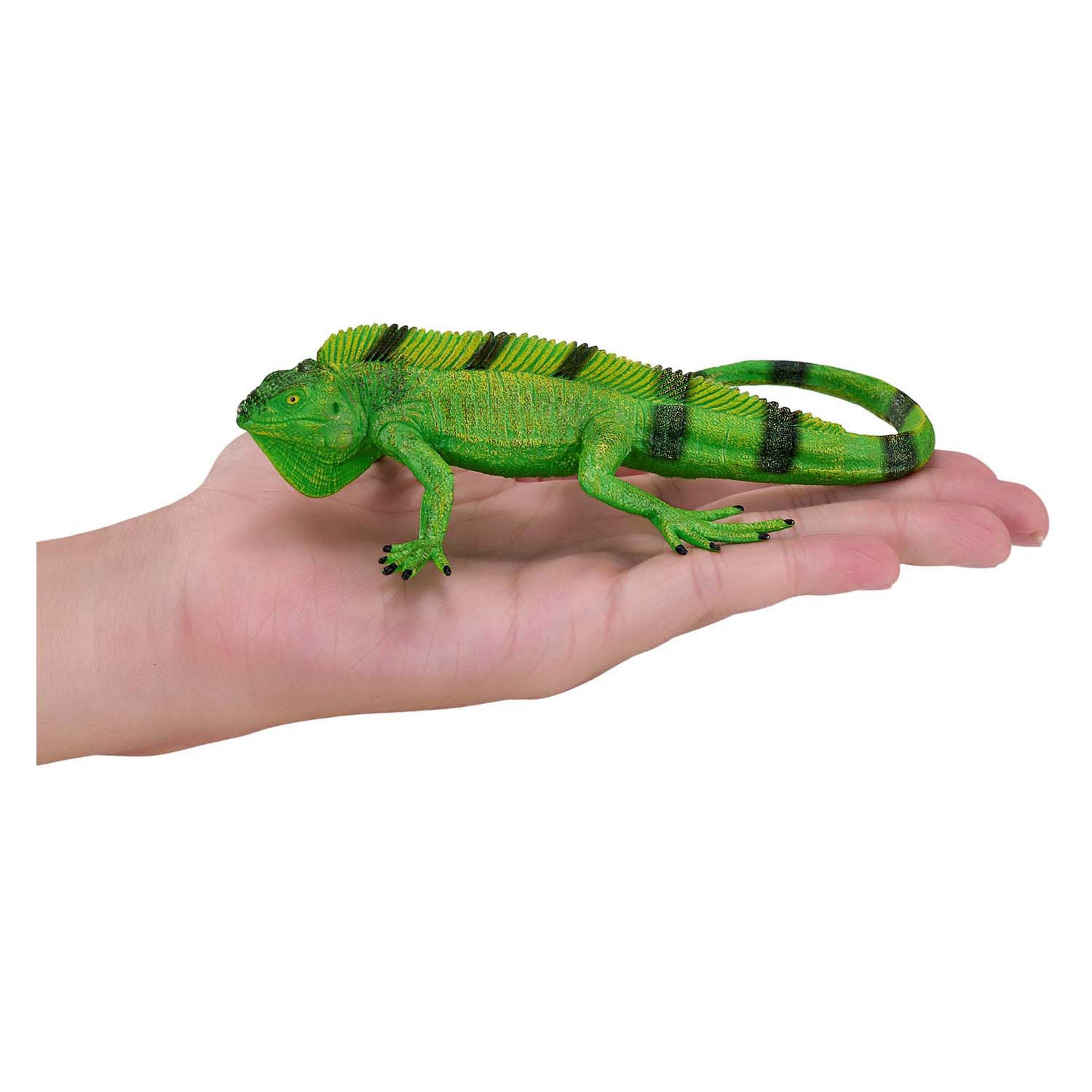 Mojo Wildlife Iguana - 381095