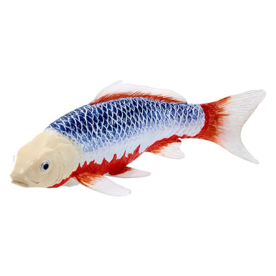 Mojo Seallife Koi Carp - Asagi Koi - 381100