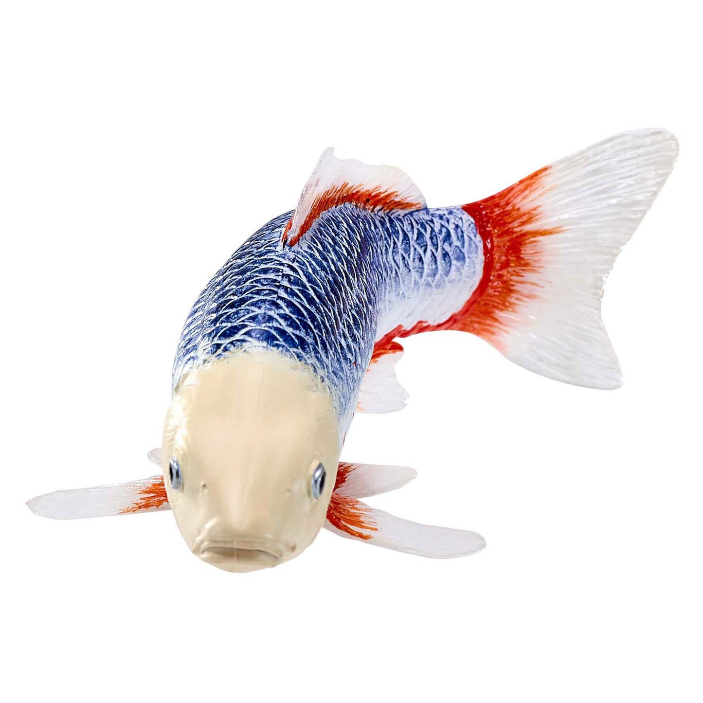 Mojo Seallife Koi Carp - Asagi Koi - 381100