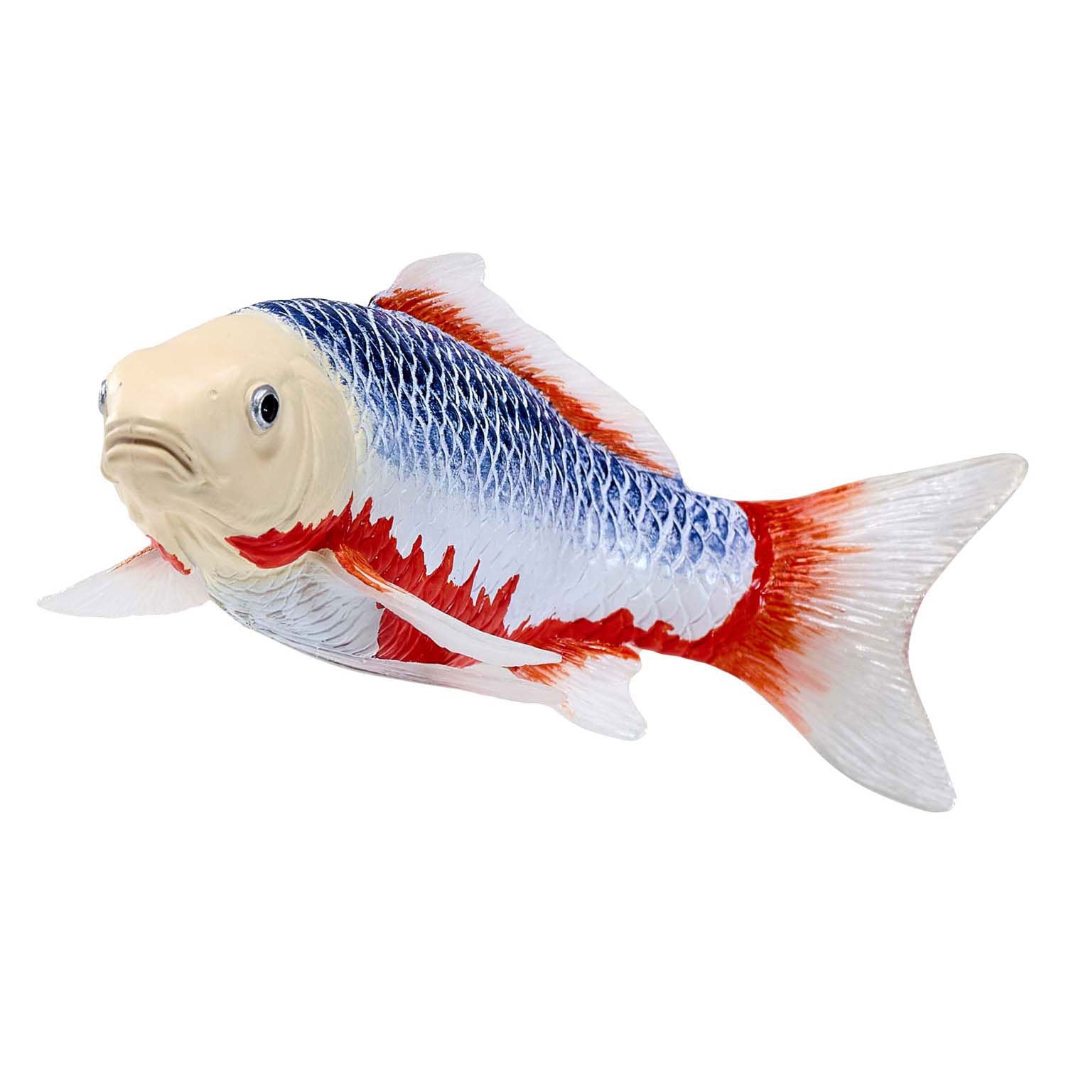 Mojo Seallife Koi Carp - Asagi Koi - 381100