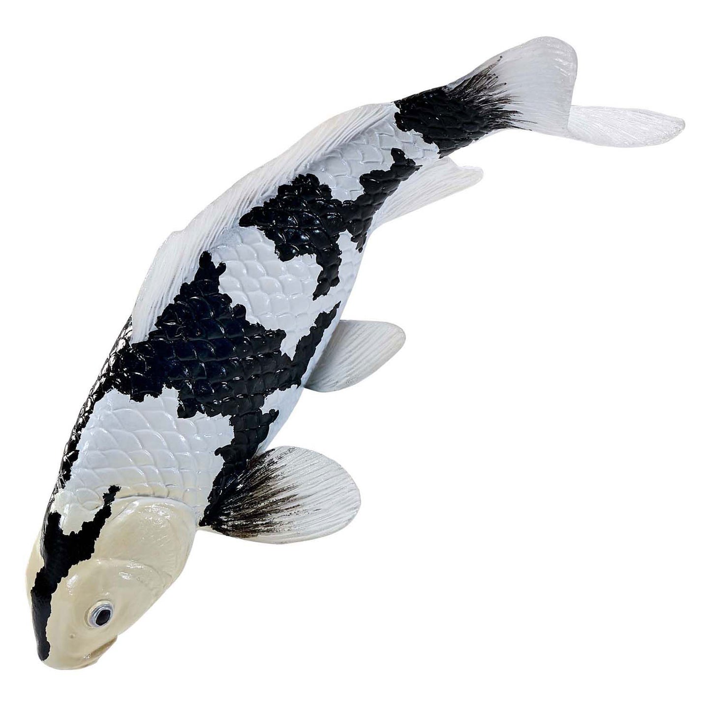 Mojo Seallife Koi Karper - Shiro Utsuri Koi - 381102