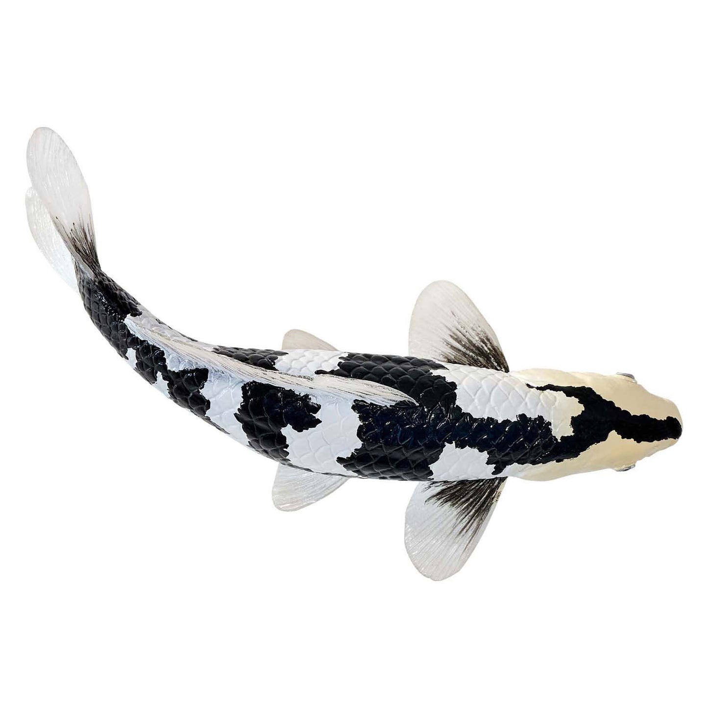Mojo Seallife Koi Karper - Shiro Utsuri Koi - 381102