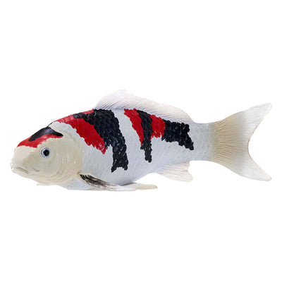 Mojo Seallife Koi Karper - Showa Sanshoku Koi - 381103