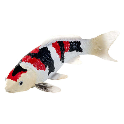 Mojo Seallife Koi Karper - Showa Sanshoku Koi - 381103