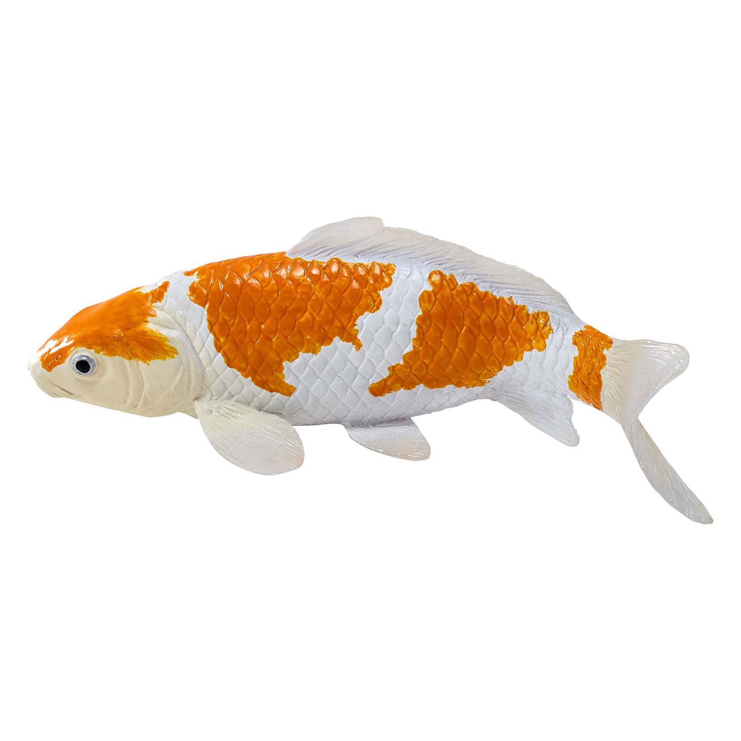 Mojo Seallife Koi Carp - Ochiba Shigure Koi - 381104