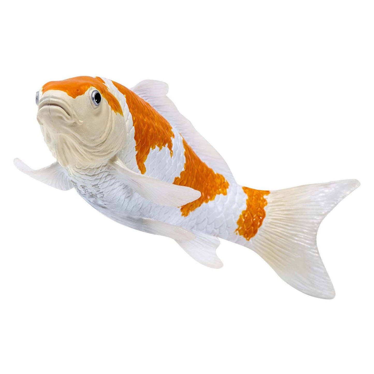 Mojo Seallife Koi Carp - Ochiba Shigure Koi - 381104