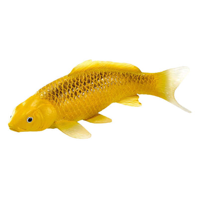 Mojo Seallife Koi Karper - Kin Matsuba Koi - 381105