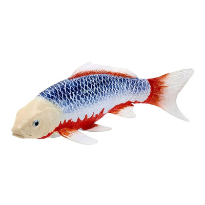 Collection Mojo koi - asagi koi bleu rouge 381118