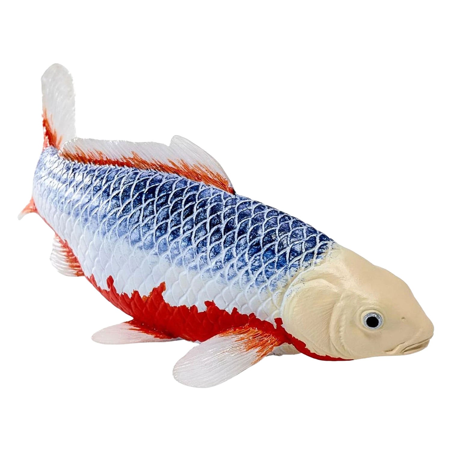 Collection Mojo koi - asagi koi bleu rouge 381118