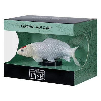 Collection Mojo koi - tancho koi points rouges 381119