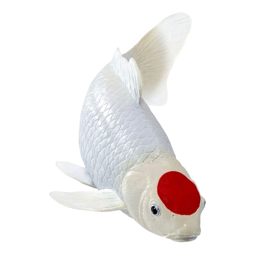 Collection Mojo koi - tancho koi points rouges 381119