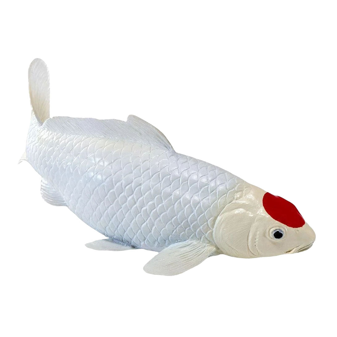 Collection Mojo koi - tancho koi points rouges 381119