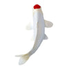 Collection Mojo koi - tancho koi points rouges 381119