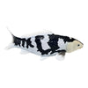 Collection Mojo koi - shiro utsuri koi noir et blanc 381120