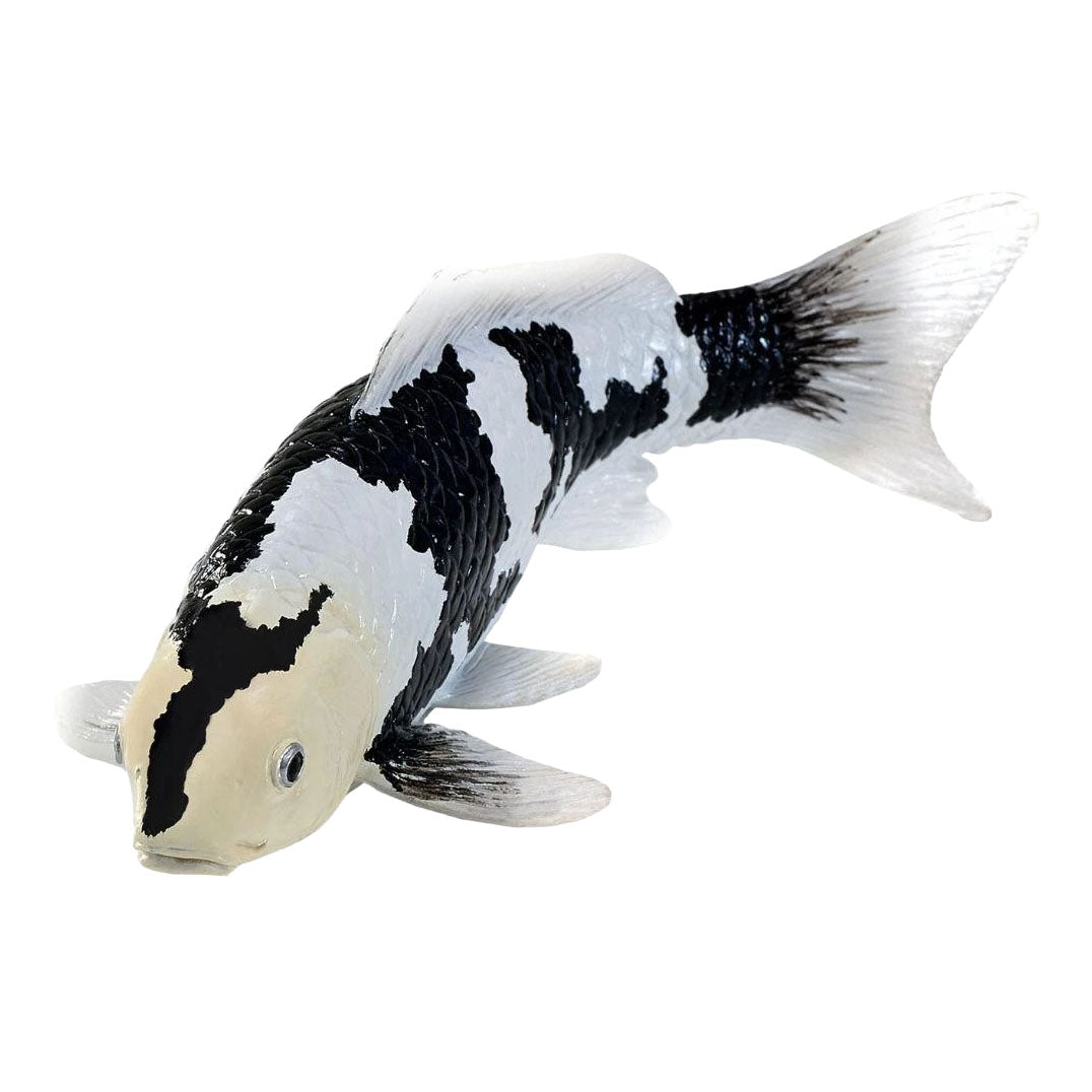 Collection Mojo koi - shiro utsuri koi noir et blanc 381120