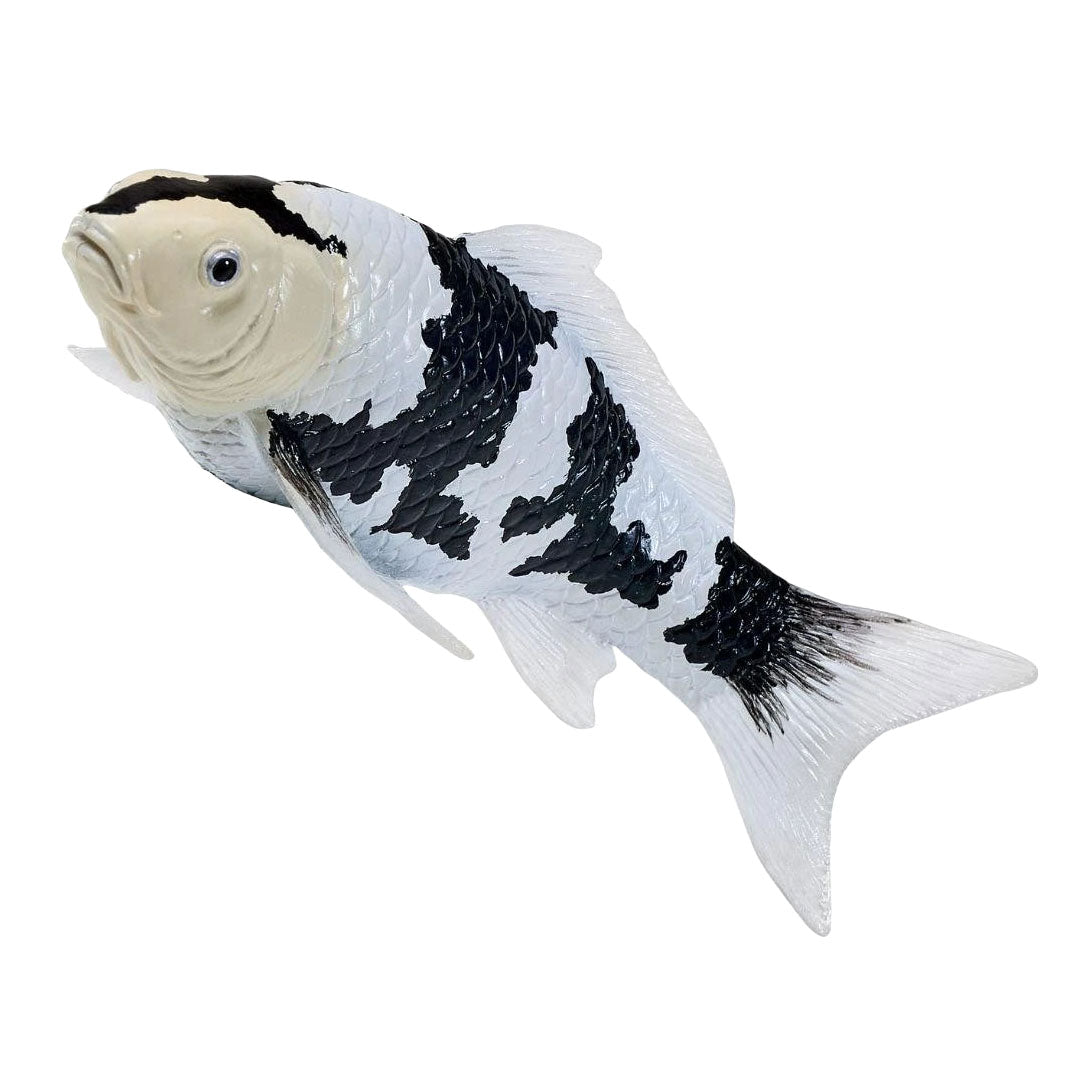 Collection Mojo koi - shiro utsuri koi noir et blanc 381120