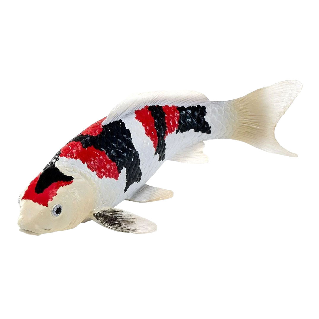 Collection Mojo koi - showa sanshoku koi tricolore 381121