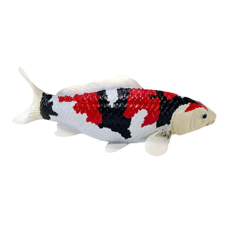 Collection Mojo koi - showa sanshoku koi tricolore 381121